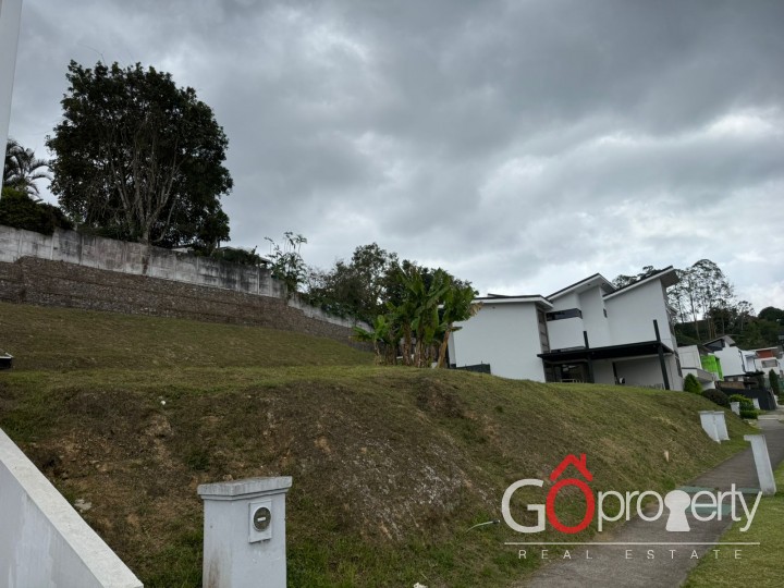 Lote amplio, seguro y rodeado de naturaleza!